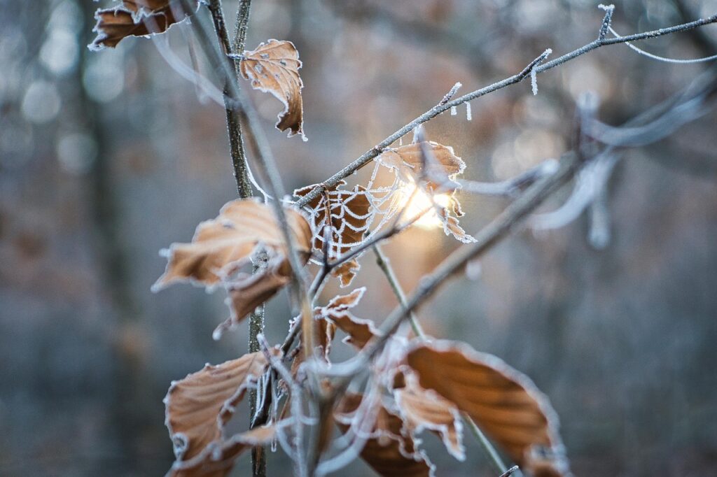 冬のデコルテの乾燥対策にはどんな方法がある？