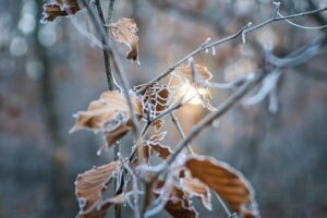 冬のデコルテの乾燥対策にはどんな方法がある？