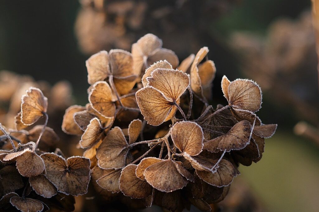 冬の手の甲の乾燥対策に効果的な方法は？