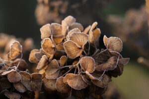 冬の手の甲の乾燥対策に効果的な方法は？