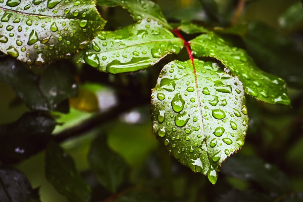 冬におすすめの首保湿クリームは？