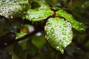 冬におすすめの首保湿クリームは？