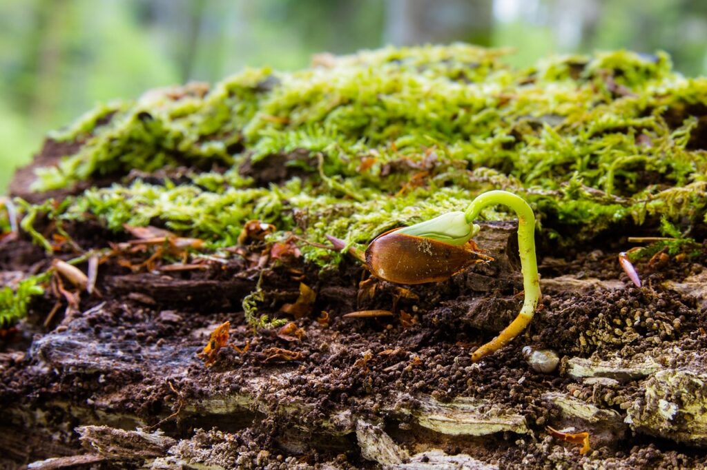 手の甲の若返り方法にはどんな選択肢がある？