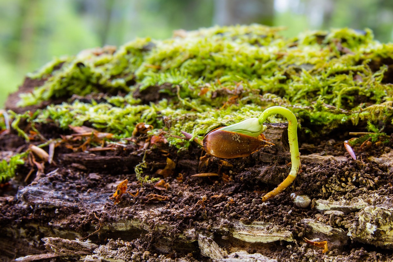 手の甲の若返り方法にはどんな選択肢がある？