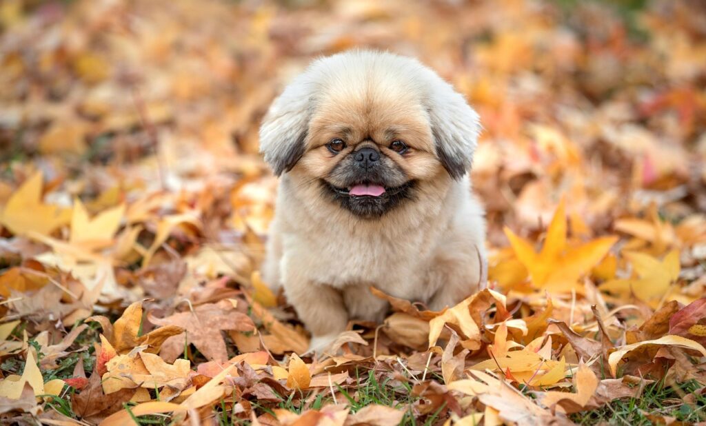 デコルテのくすみを取る方法にはどんなものがある？