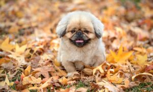 デコルテのくすみを取る方法にはどんなものがある？