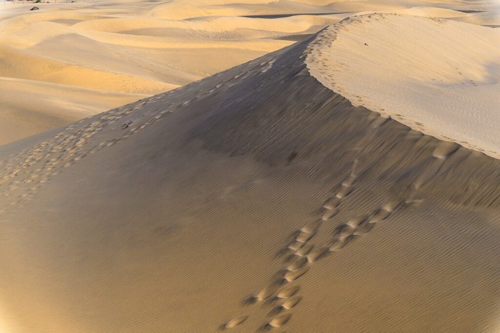 デコルテの乾燥対策に最適なクリームおすすめは？