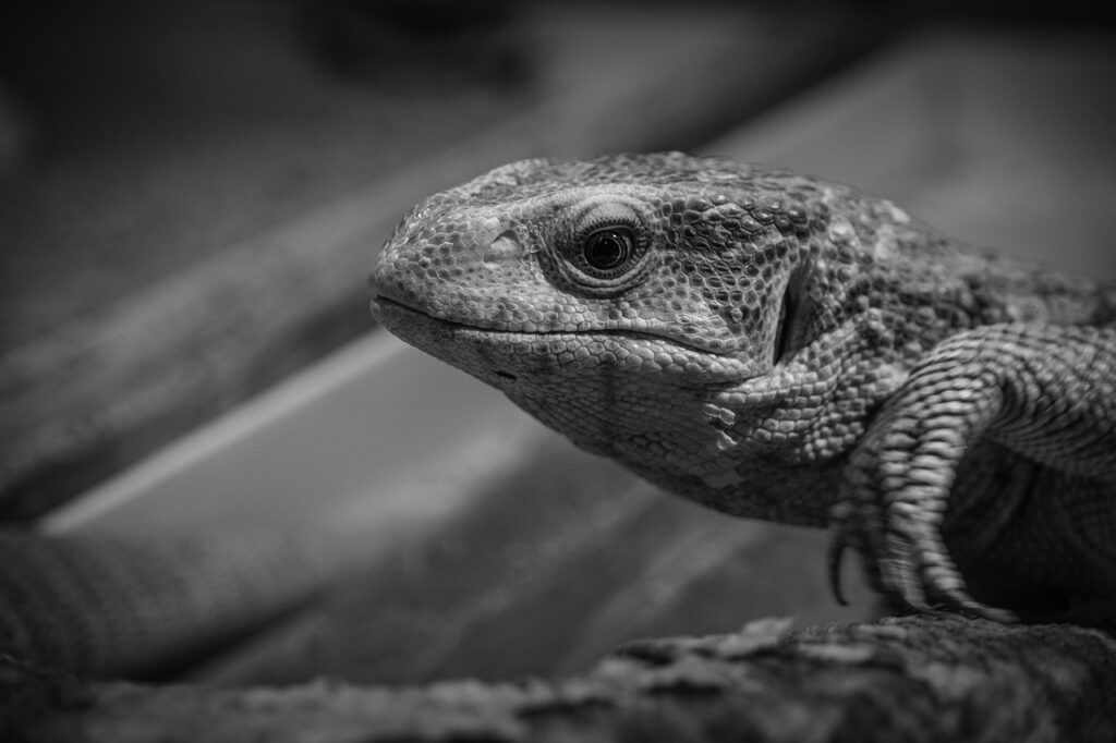 デコルテにハリを出す方法は何が効果的？