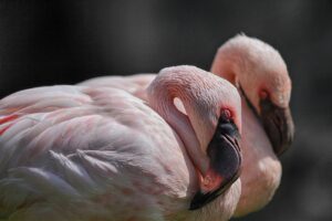 首のシワにジュベルックは本当に効果がある？