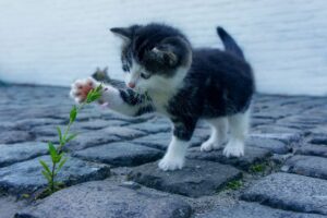 手の甲のシミを消したい！効果的な方法は？