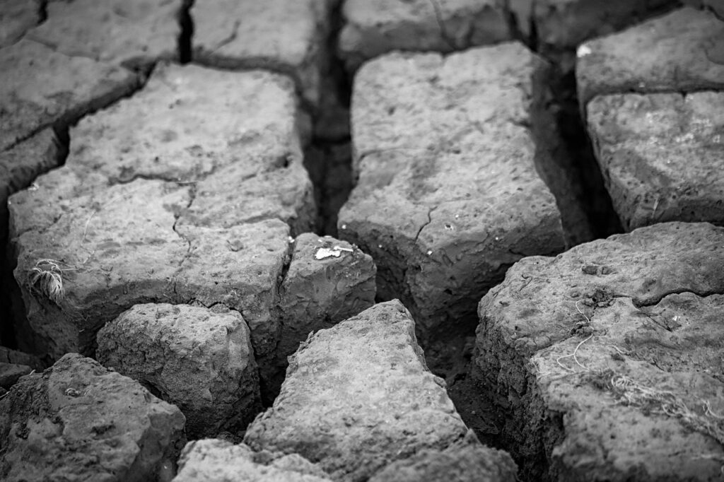 手の甲の乾燥やひび割れ、効果的なケア方法は？